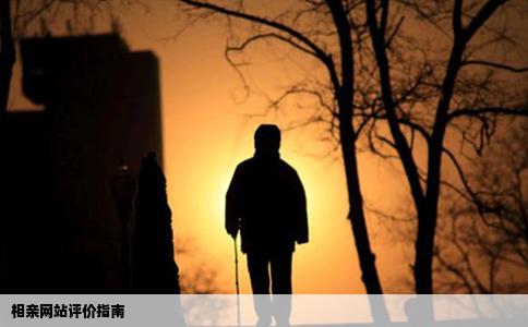 相親網站評價指南