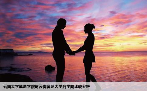 云南大學滇池學院與云南師范大學商學院比較分析