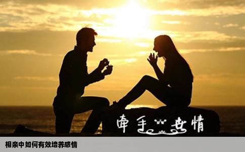 相親中如何有效培養感情